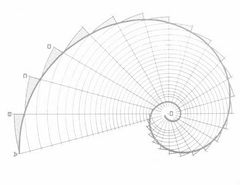 Fibonacci spiral.jpg